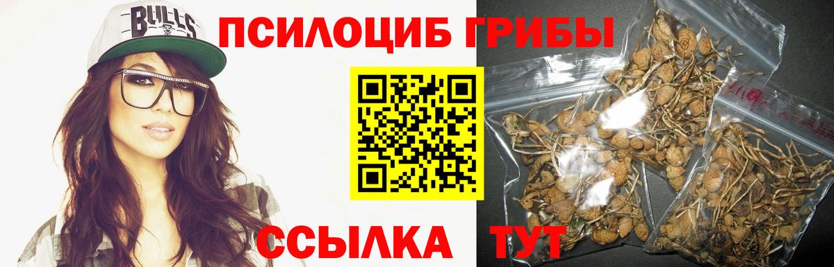 Псилоцибиновые грибы MAGIC MUSHROOMS Ирбит