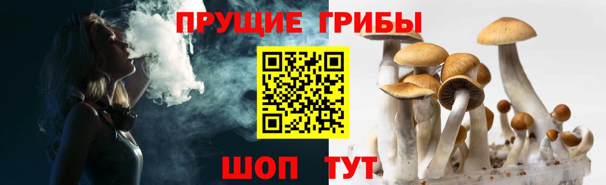Ирбит  Псилоцибиновые грибы GOLDEN TEACHER  где купить наркоту  Вход с VPN 